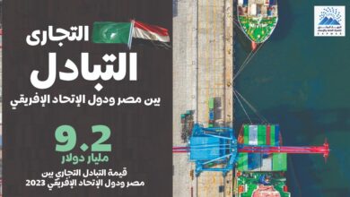 حجم الصادرات المصرية