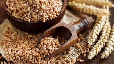 الجزائر تطرح مناقصة لشراء القمح