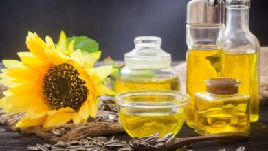 إنتاج الزيوت النباتية في كازاخستان