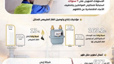 مصر تعزز خدمات توصيل الغاز الطبيعي