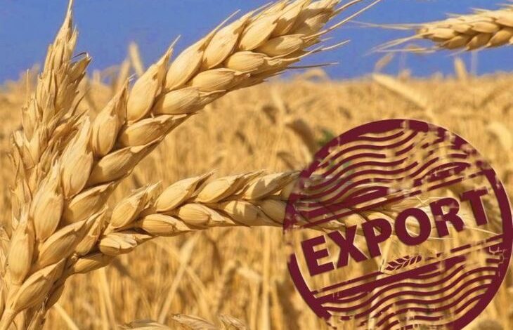 صادرات الحبوب الأوكرانية