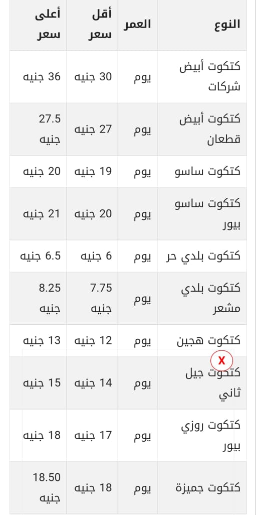 أسعار الكتاكيت اليوم الخميس 
