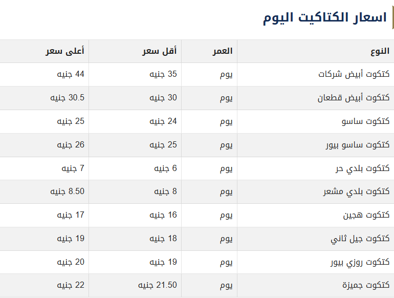 أسعار الكتاكيت اليوم