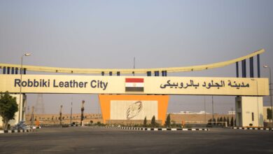 شركة القاهرة للاستثمار والتطوير