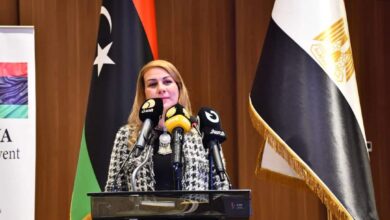 مي حلمي، المدير التنفيذي للمجلس التصديري للصناعات الهندسية