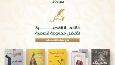 مؤسسة ساويرس للتنمية الاجتماعية