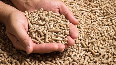 أسعار الأعلاف اليوم