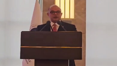 محمد فريد