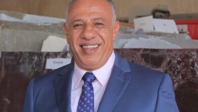 أشرف عوض رئيس مجلس إدارة مجموعة "أفا مينا"