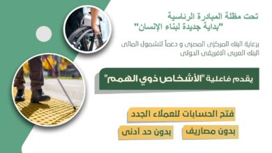 البنك العربي الأفريقي الدولي