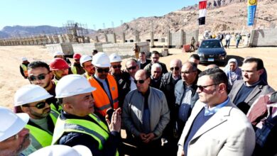 المهندس شريف الشربيني