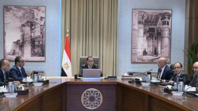 الدكتور مصطفى مدبولي