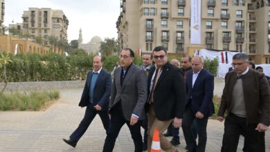 مدبولي يتفقد مشروع 'أرابيسك'