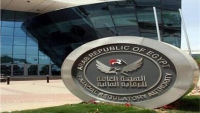 هيئة الرقابة المالية