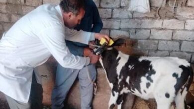 الزراعة والطب البيطري