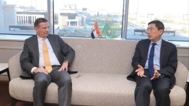 مباحثات مصرية سنغافورية