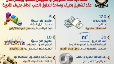دعم صناعة الحديد والصلب عبر ميناء الأدبية