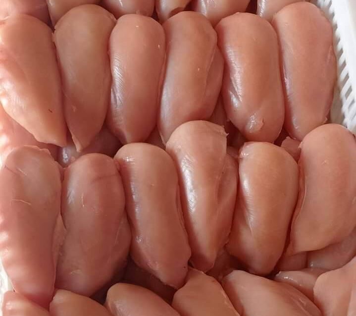 أسعار الدواجن و البانية
