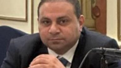 أحمد زكي، الأمين العام لشعبة المصدرين