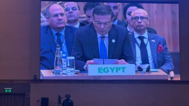 وزير الزراعة: القمة الأفريقية نقطة تحول للتنمية المستدامة في إفريقيا