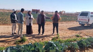 حملة اسأل واستشير تواصل أنشطتها في سيناء