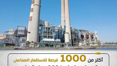 مصر تطلق 1000 فرصة استثمارية جديدة في 17 منطقة صناعية بـ14 محافظة