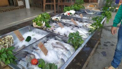 سوق اليوم الواحد