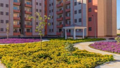 مشروعات استثمارية في المنيا