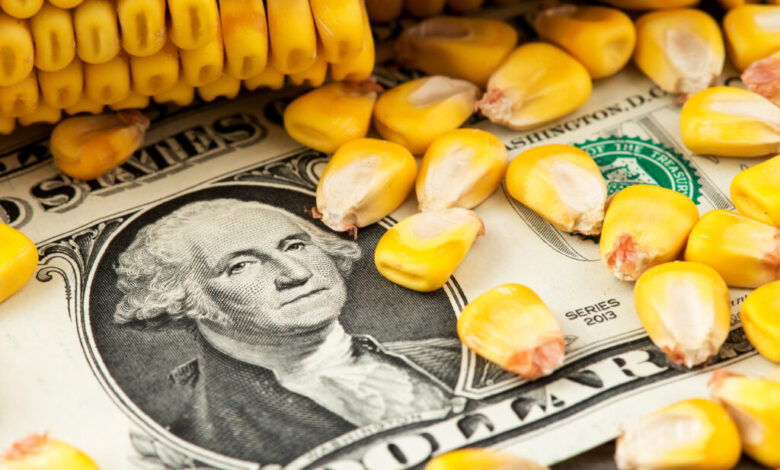 أسعار الذرة في أوكرانيا