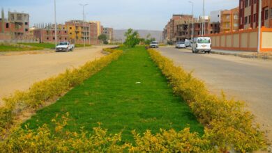 تشجير وتجميل الطرق والمناطق السكنية في سوهاج الجديدة