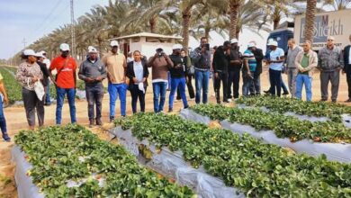 بمشاركة 12 دولة إفريقية.. نجاح برنامج الري الذكي وإدارة المحاصيل