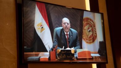 محمد جبران، وزير العمل