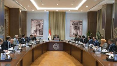 الدكتور مصطفى مدبولي، رئيس مجلس الوزراء