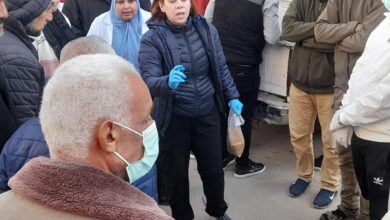 وزارة الزراعة تكثف جهودها للسيطرة على الكلاب الضالة ومكافحة السعار