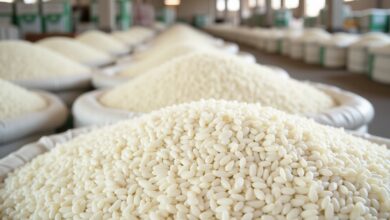أسعار الأرز