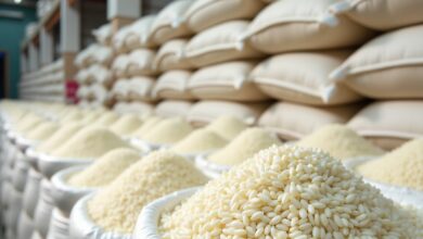 أسعار الأرز
