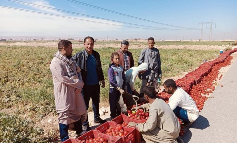 مركز البحوث الزراعية