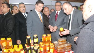 معارض أهلاً رمضان