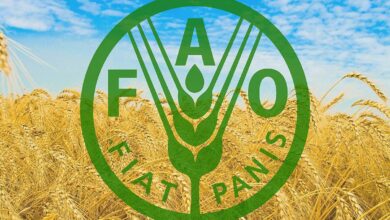 منظمة الأغذية والزراعة (الفاو)