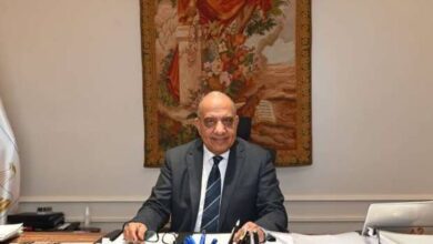 الدكتور محمود عصمت، وزير الكهرباء والطاقة المتجددة