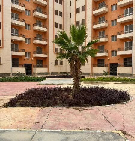 مدينة برج العرب