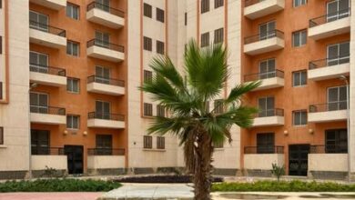 مدينة برج العرب