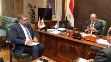 وزير العمل يبحث تطوير المهارات المصرية