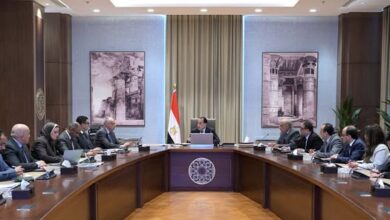 مدبولي يتابع تنفيذ مشروعات الري