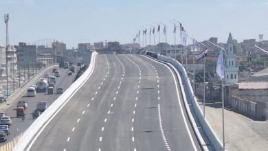 افتتاح كوبري العامرية