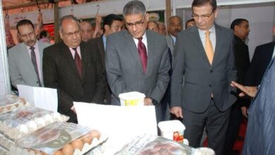 بحوث الزراعة ومستقبل الزراعة الذكية