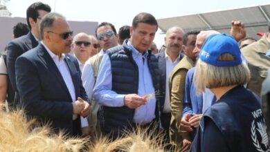 وزير الزراعة واستصلاح الأراضي