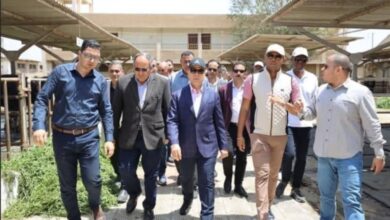 جانب من أنشطة معهد بحوث الإنتاج الحيوانى