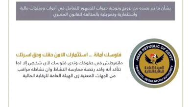 الرقابة المالية تحذر من الاحتيال الإلكتروني