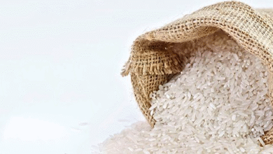 أسعار الأرز اليوم الثلاثاء